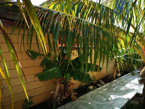 Hostal Villa Pistaches