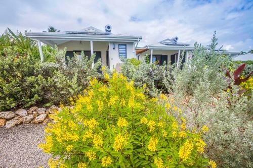 Iguane House Villas & Micro Spa