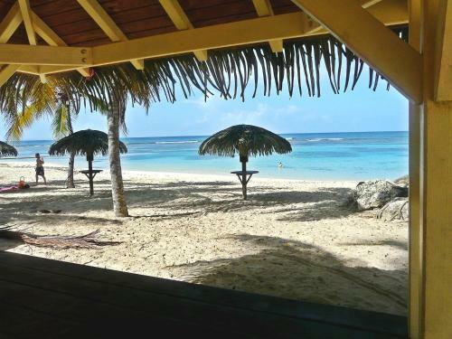 Anse Des Rochers-studio Zabrico