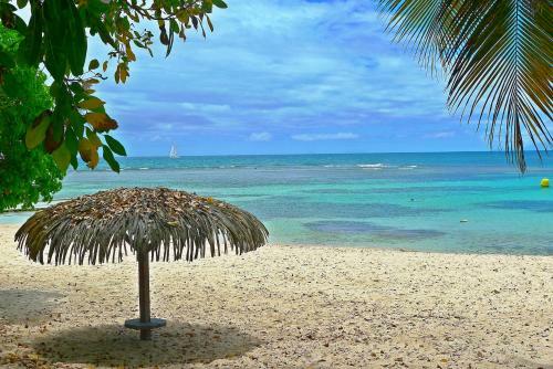 Anse Des Rochers-studio Zabrico