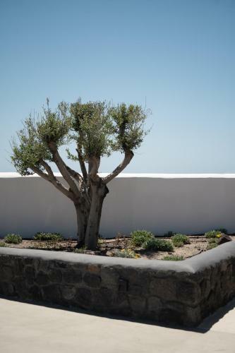Hotel La Ponta Villas Santorini