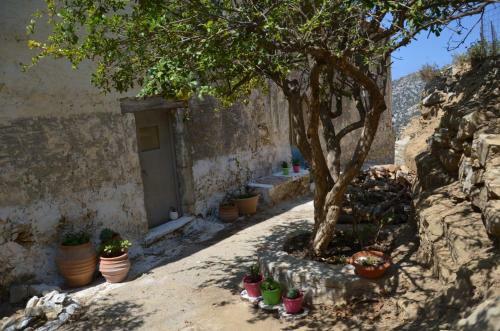 Apartamento Luxurious Stone House