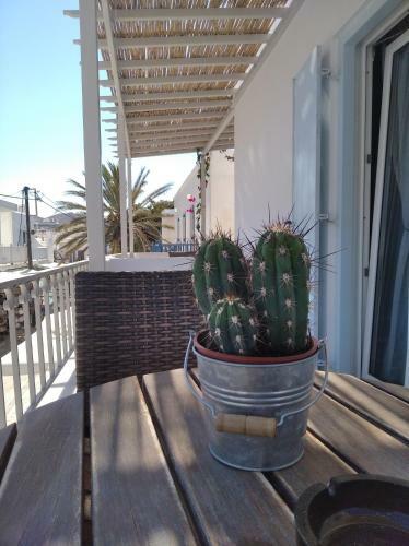 Apartamento Margarita Studios