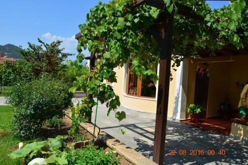 Charming 4-bedroom Villa