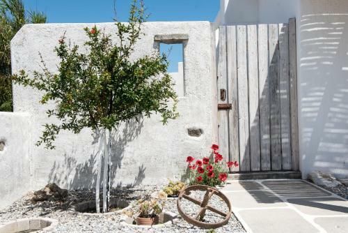 Aloni Studios