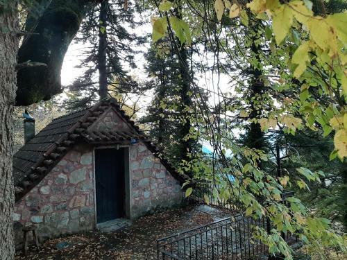 Apartamento Forest House