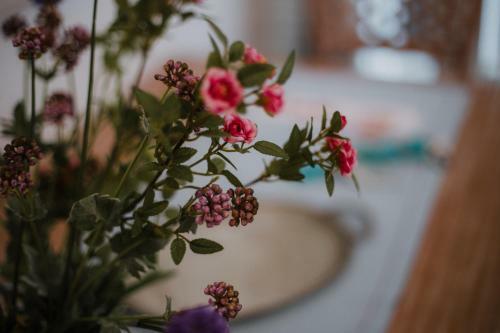 Apartamento Eleni's Guesthouse
