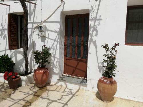 Lorentzia House 2 !
