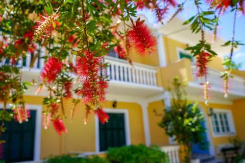 Hotel Capriccio Studios