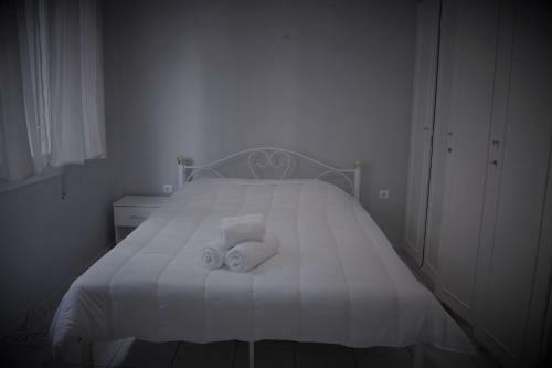 Apartamento Great Location Comfort Flat