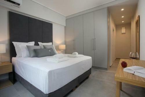 Legeo-luxurious Athenian Apartment