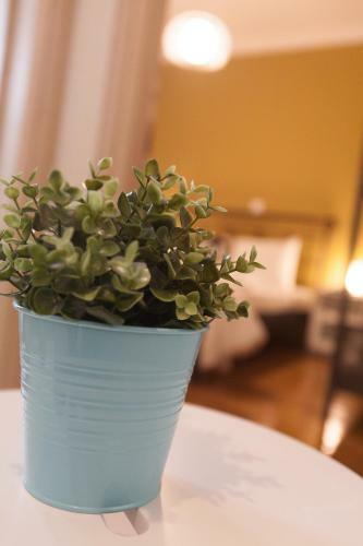 Apartamento Athens City Themis 3