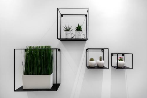 Downtown Boutique Apartments