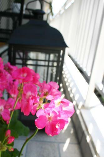 Apartment Socrates In Central Athens