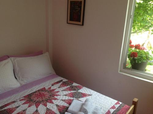 Hostal Viola Apartments