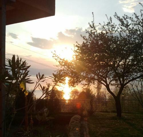 Apartamentos Vila Anastas