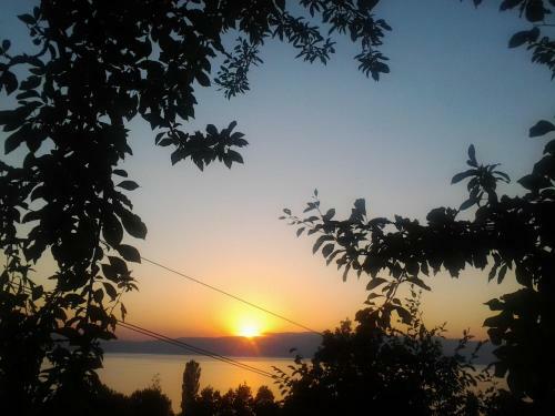 Apartamentos Vila Anastas