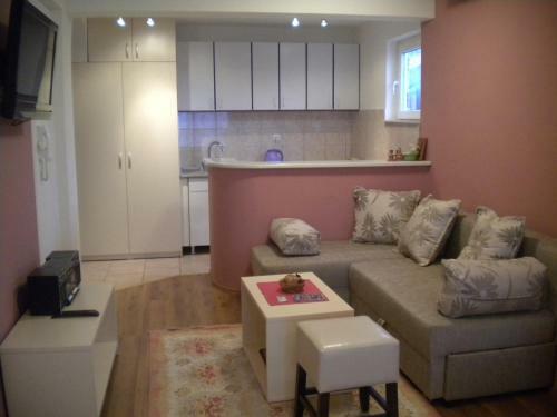 Hostal Orhidea House