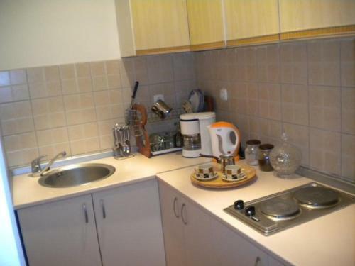 Hostal Orhidea House