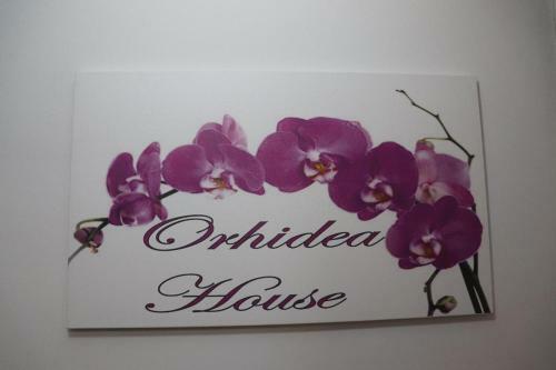 Hostal Orhidea House