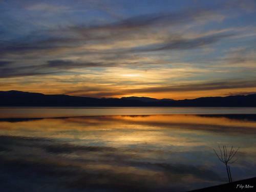 Stefand Lake Ohrid Apartments