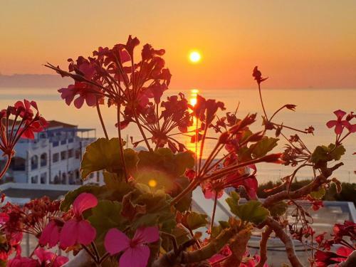 Aparthotel Romantica Hotel Apartments