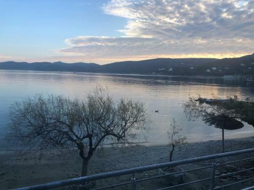 Hotel Thalassa View