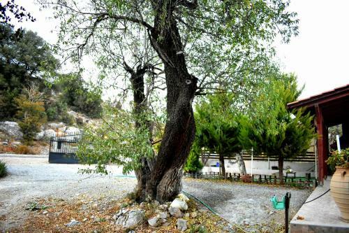 Village House Aretousa