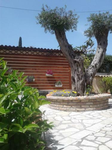 Hostal Flowers Studios