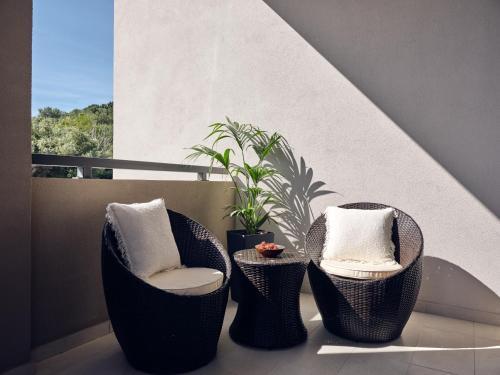 Villa Aguacate Agave