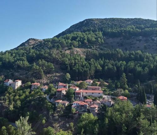 Hostal Hotel Archontiko Dimitsana