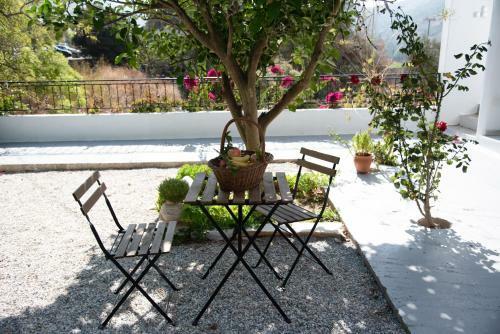 Apartamento Dreamcatcher Of Zeus