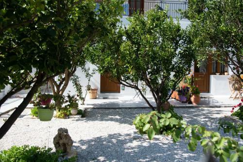 Apartamento Dreamcatcher Of Zeus