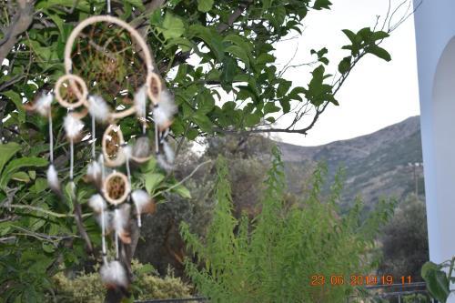 Apartamento Dreamcatcher Of Zeus