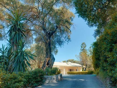 Villa Candela