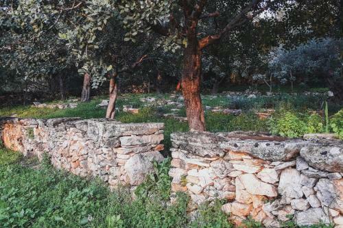 Lemon Tree Eco-retreat