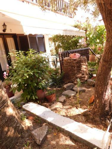 Apartamento Dionysus-mihanicus
