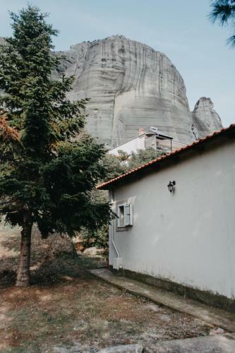 Rock In The Yard