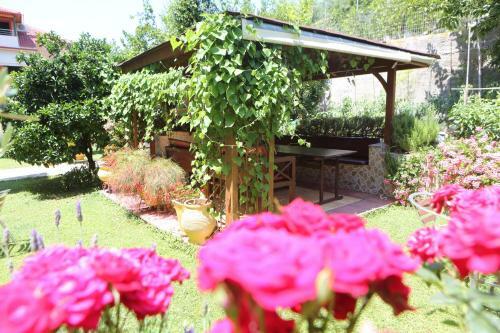 Apartamento Korali House