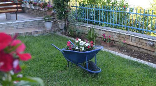 Apartamento Nikos Rooms Kallithea