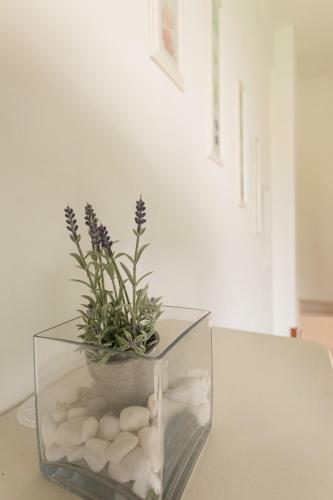 Apartamento La Strada Studios