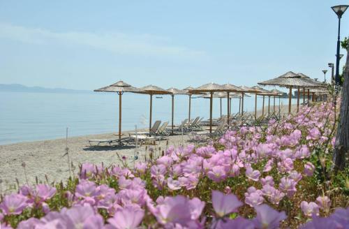 Villa Houseloft Horizon Seafront