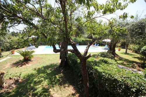 Apartamento Aristea Studios