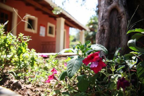 Apartamento Aristea Studios