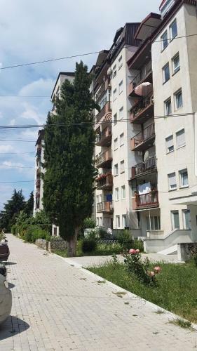Apartments Magnolija