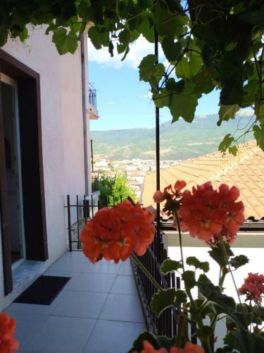 Bed & Breakfast Villa Saraj