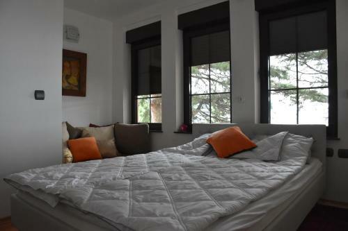 Bache Apartments