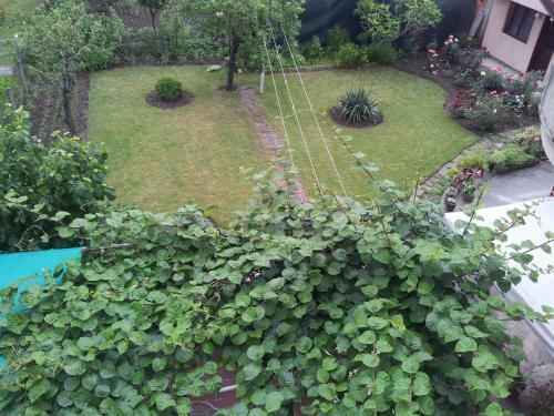 Bed & Breakfast Villa Vesna