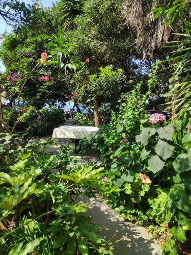 Apartamento Alonaki Bay