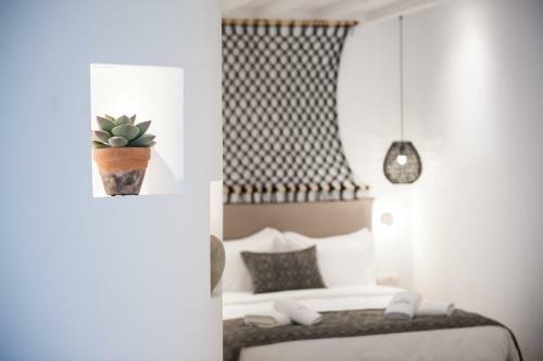 Posada Bohemia Luxury Living